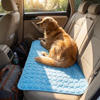 Cooling mat in car back seat with dog, roadtrip scene