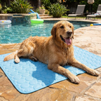 Cooling mat near backyard pool with dog