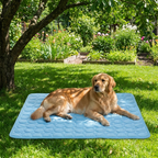 Cooling mat outdoors under tree in garden with dog