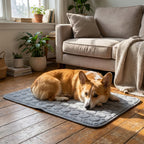 Grey cooling mat with Corgi in living room