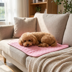 Pink cooling mat with Toy Poodle on sofa