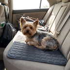 Dark grey cooling mat with Yorkshire Terrier in car